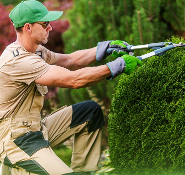 Yard Maintenance<br />
